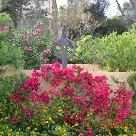 Al Mare アパート *